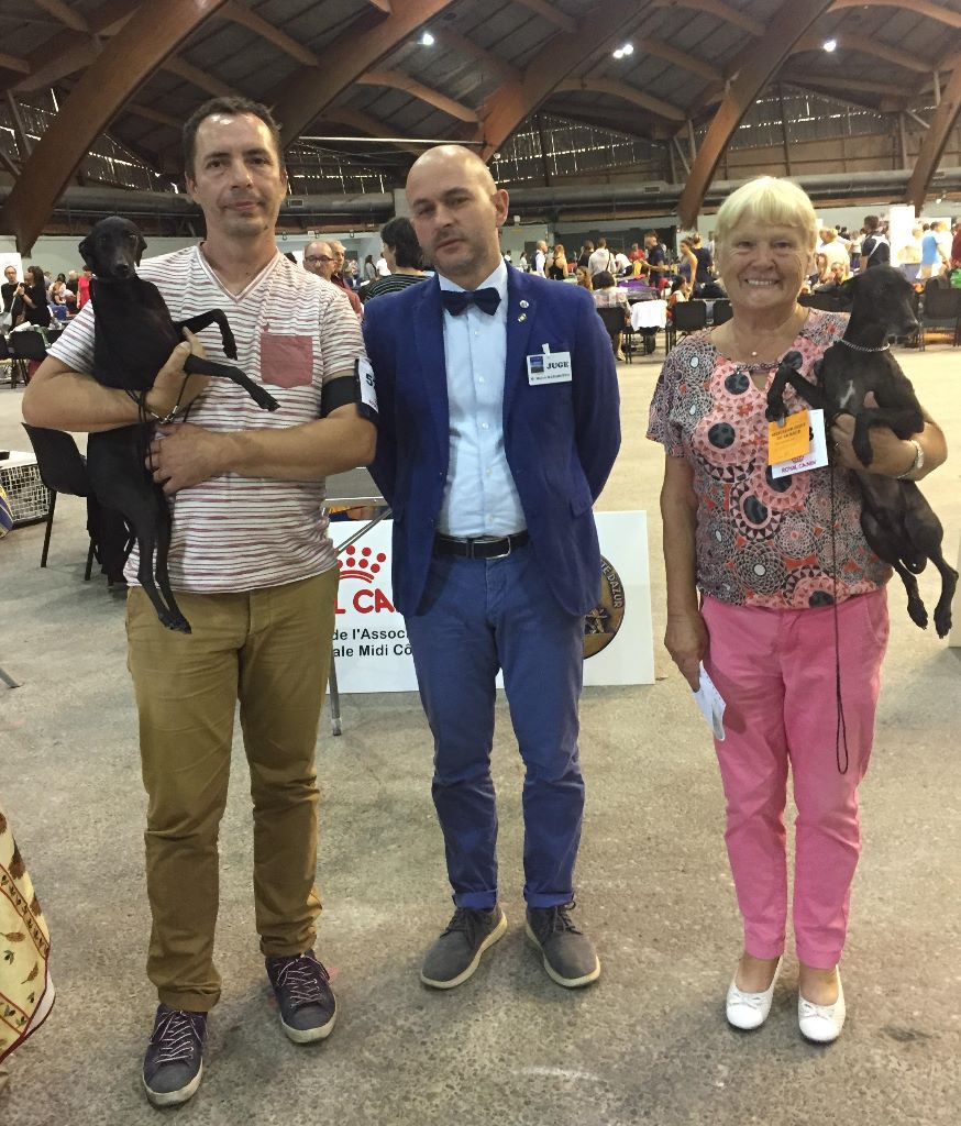 des pierres de jade - National Dog Show Avignon 2019