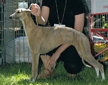 Thémis des pierres de jade