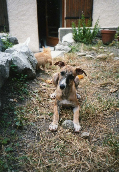 Noir sur blanc de la Vallée des Baronnies