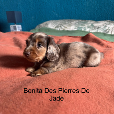 Bénita Des Pierres De Jade